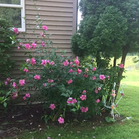 Spruce Hill Inn & Cottages-2