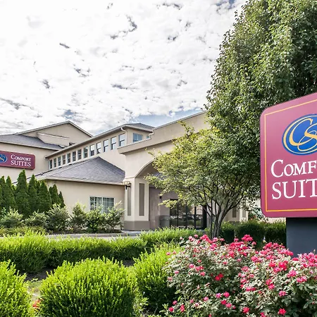 Comfort Suites Columbus Expo Center-2