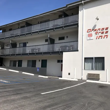 Orange Tree Inn-2
