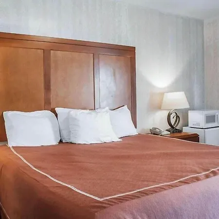 Rodeway Inn & Suites-2
