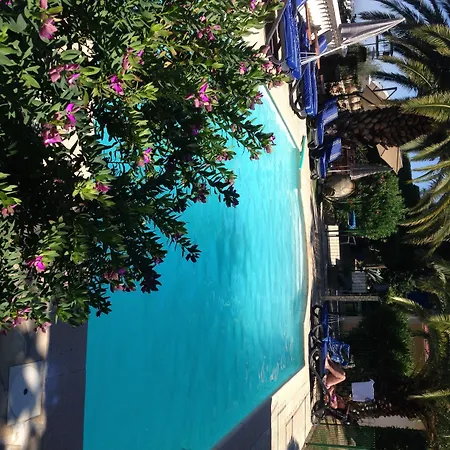 Hôtel Miramar-2