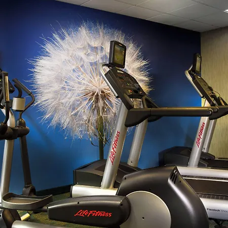 Springhill Suites Dallas Dfw Airport North/Grapevine-3