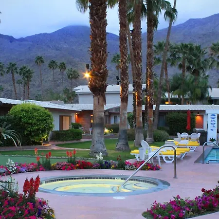 A Place in the Sun: Adults-Only Midcentury Boutique with Heated Pool-2