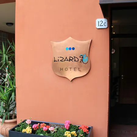 Lizard Hotel-3