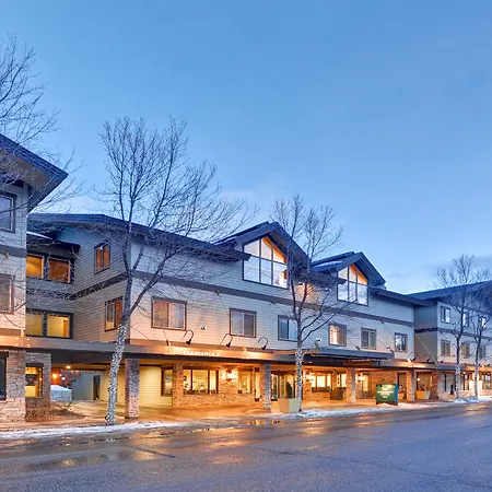 Homewood Suites By Hilton Jackson-3