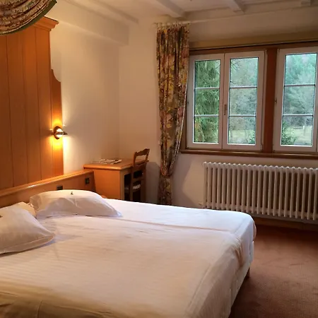Logis Hôtel-Restaurant Auberge d'Imsthal-3