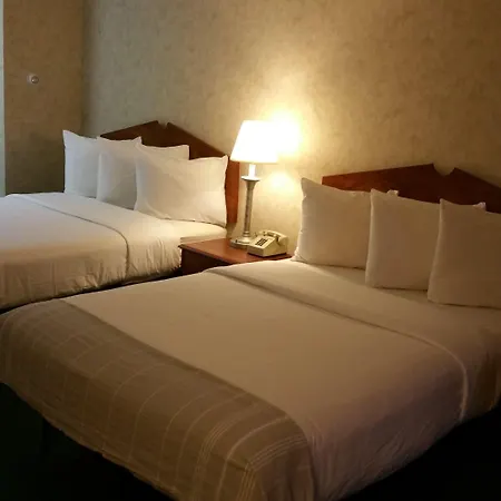 Dartmouth Motor Inn-3