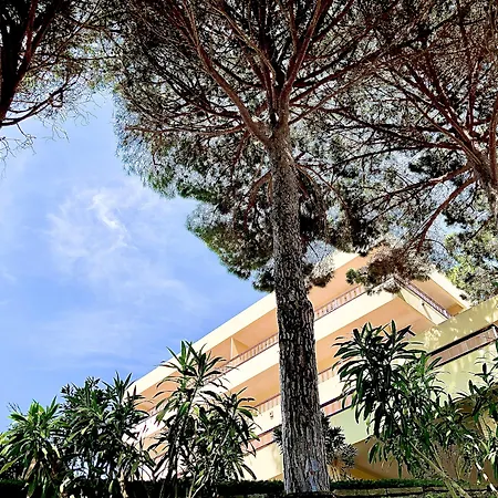 Almadraba Park Hotel-2