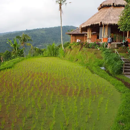 Puri Lumbung Cottages Restaurant & Spa Munduk-2