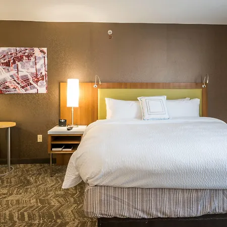 Springhill Suites By Marriott Denton-3