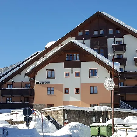 Nevesole Folgarida Resort Aparthotel-3