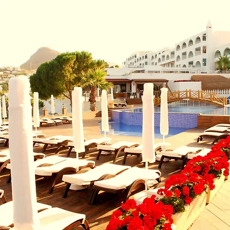 Woxxie Hotel-2