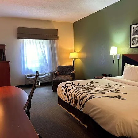 Sleep Inn & Suites Airport-2