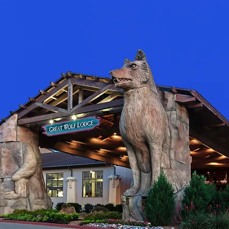 Great Wolf Lodge Grapevine-3