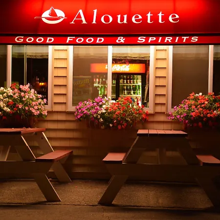 Alouette Sunrise Suites-3