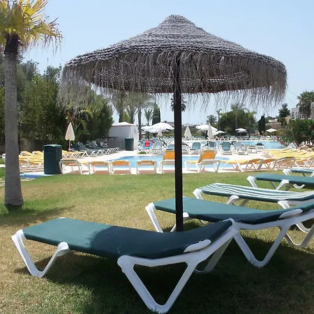 Yellow Alvor Garden-2