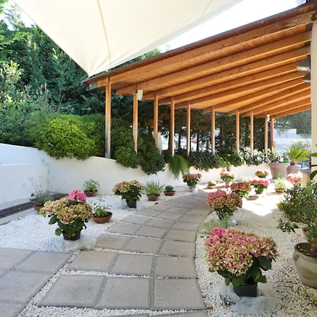 Best Western Hotel Anthurium-3