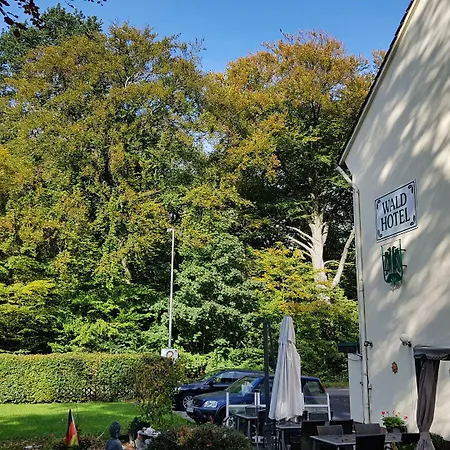 Wald-Hotel-2