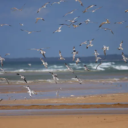 K'gari Beach Resort, formally 'Eurong Beach Resort'-2