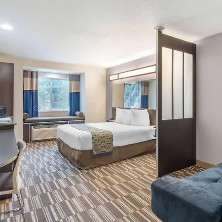 Microtel Inn & Suites By Wyndham Brooksville-3