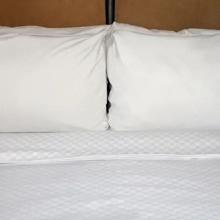 Sheraton Augusta Hotel-2