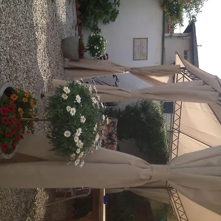 B&B La Mimosa-3