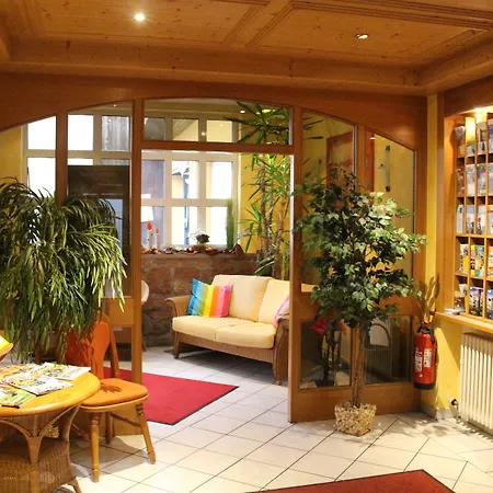 Hotel Engel-3