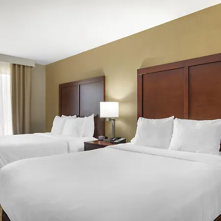 Comfort Suites Locust Grove Atlanta South-3