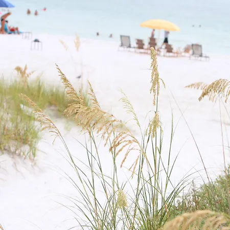 Beach Club At Siesta Key By Rva-3