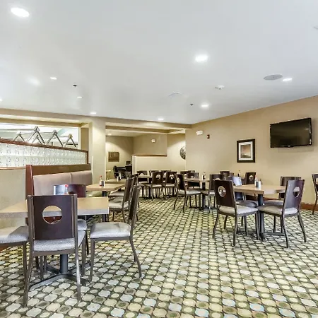Comfort Suites Mcdonough Atlanta South-3