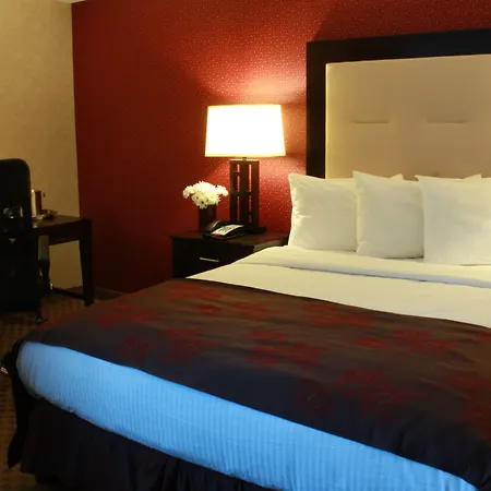The Lloyd Stamford, Tapestry Collection By Hilton-2