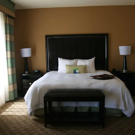 Hampton Inn & Suites Mcalester-3