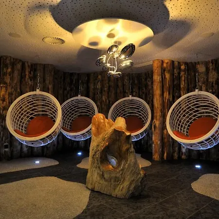 Hotel Alpine Palace-3