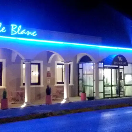 Le Merle Blanc Hôtel Logis-2