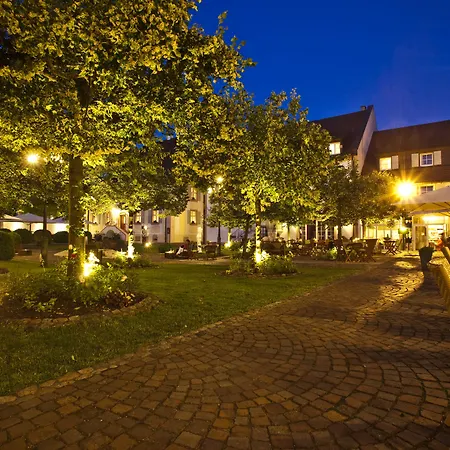 Schloss Reinach-2