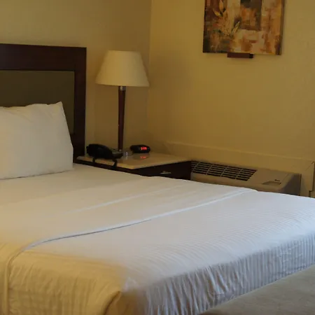 Lexington Inn & Suites-Elgin-2