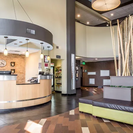 Comfort Suites New Bern Near Cherry Point-3