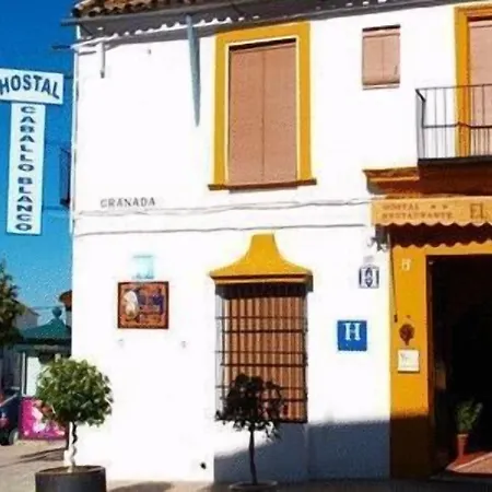 Hostal El Caballo Blanco-2