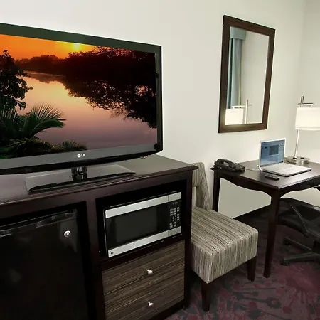Hampton Inn & Suites Winnie-2