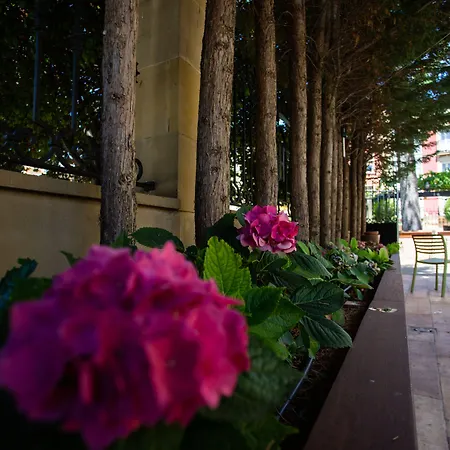 Hotel Arrope-2