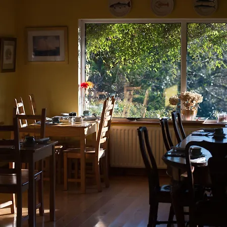 Sharamore House B&B-3
