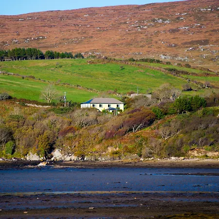 Sharamore House B&B-2