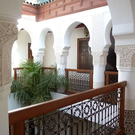 Riad Viva-3