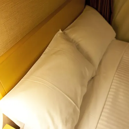 Sotetsu Fresa Inn Tokyo Tamachi-3