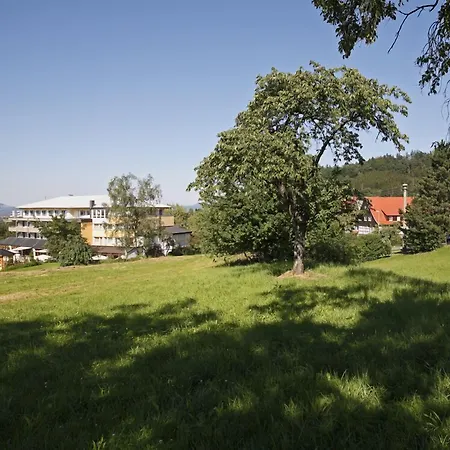 Badhotel Restaurant Stauferland-3