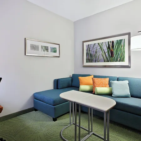 Springhill Suites By Marriott Pensacola-2