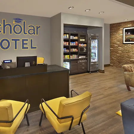 Scholar Morgantown, Tapestry Collection By Hilton-3