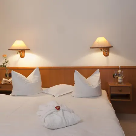 Hotel Parkfrieden-3