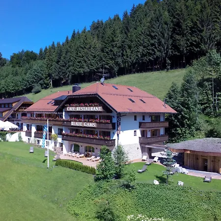 Hotel Blaue Gams ***S-3