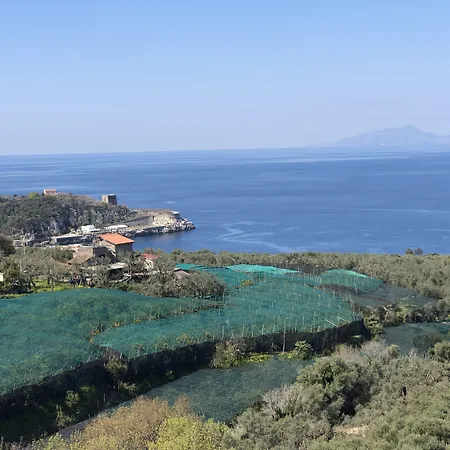Hotel Dania-3